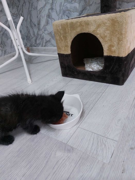 Маленькая девочка
