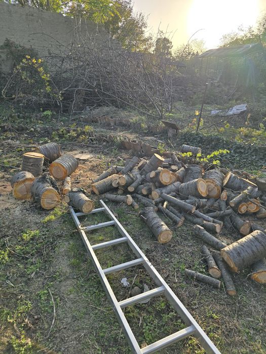 Почистване на дворове и др. услуги!!