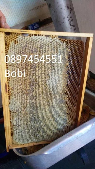 Малки Пчелни Семейства Отводки