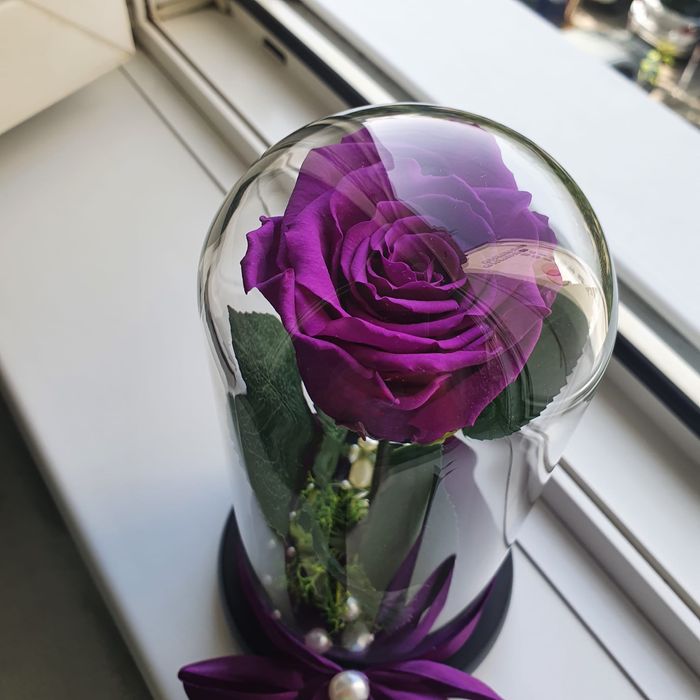 Trandafir criogenat conservat culoare mov