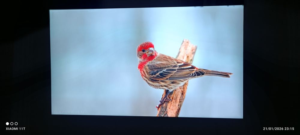 Samsung Crystal UHD 65ʼʼ
