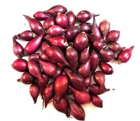 Arpagic roșu cultivat cu îngrășământ de grajd,bun de semănat,19 lei/kg