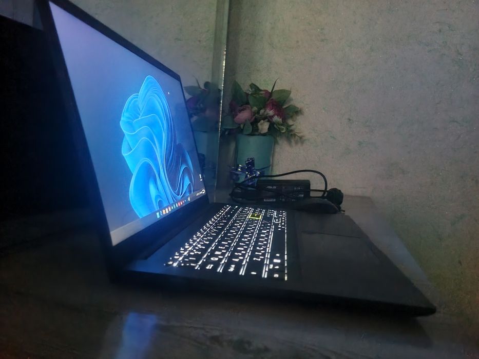 Asus Vivobook loptop