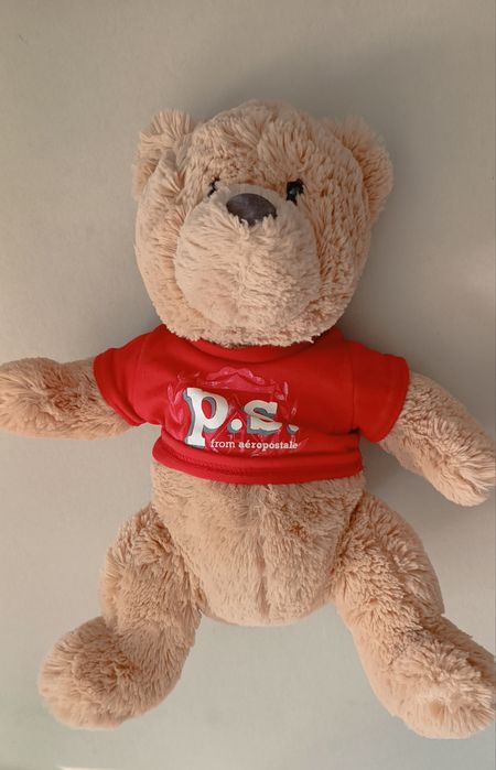 Плюшено мече и куче