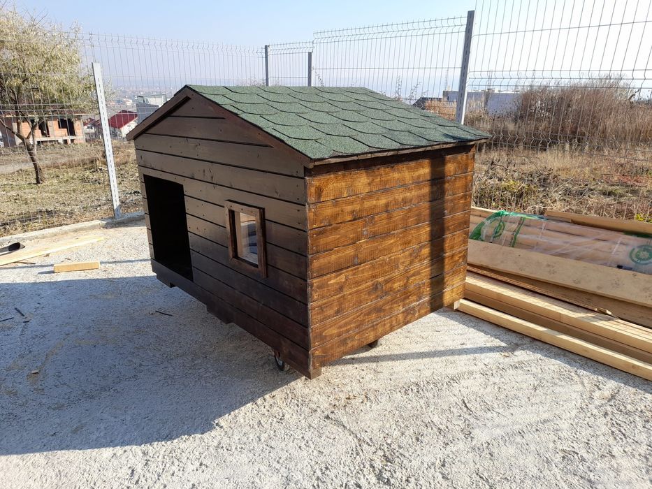 Cusca de caine complet izolata