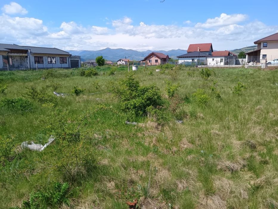 Intravilan de vanzare