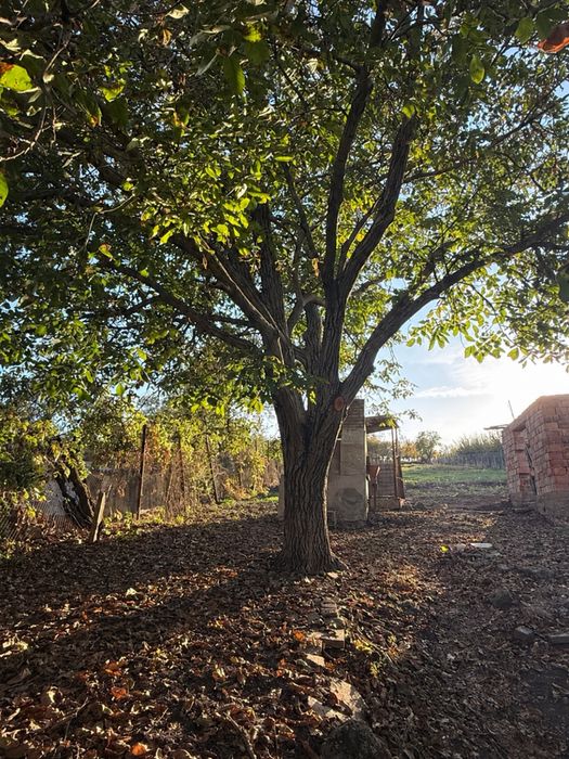 Casa de vanzare,Turda Noua,strada Alexandru ioan cuza 101!