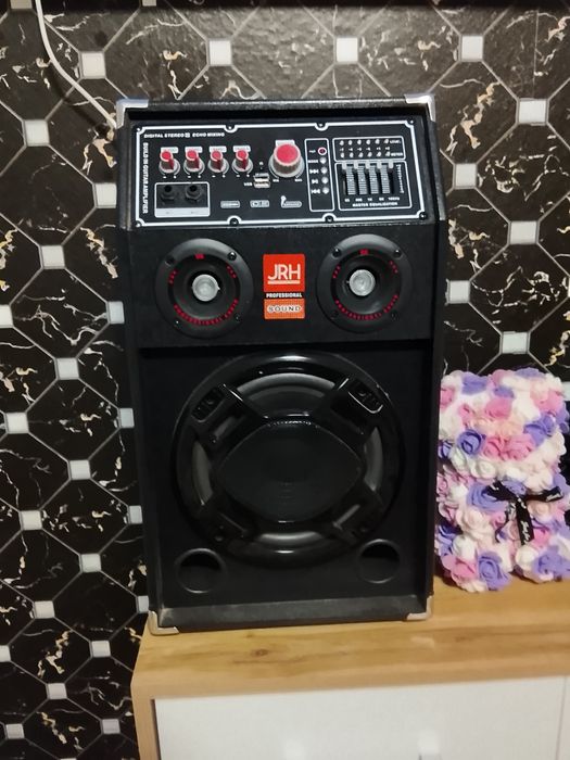 Boxe audio profesionale