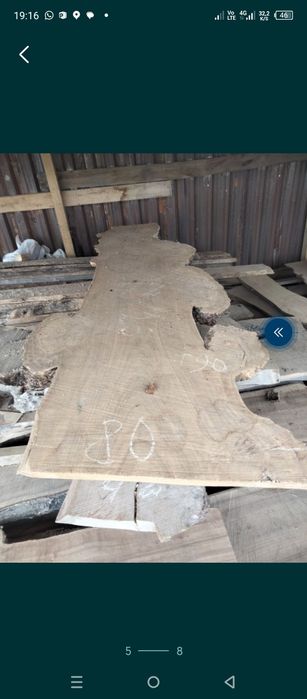 Лес Карагач Дуб Ясень Орех ,.