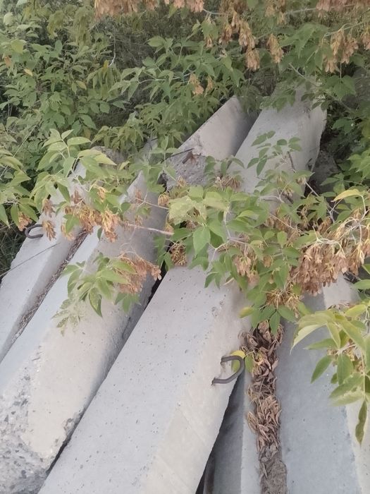 Столбы бетонные 11 штук