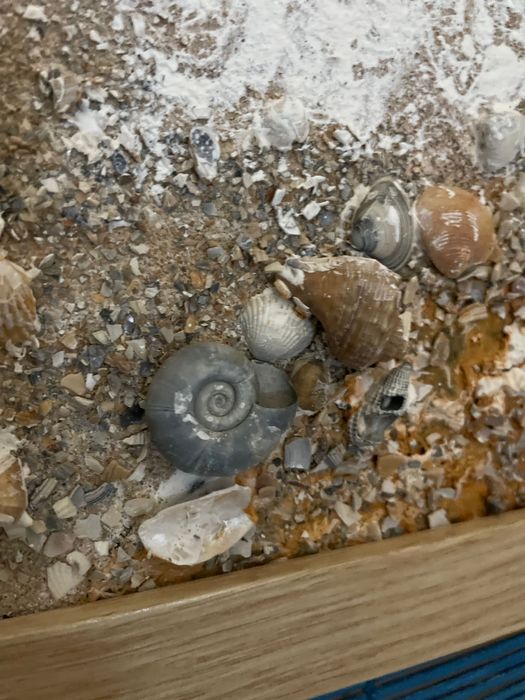 Tablou pictat manual 30/40