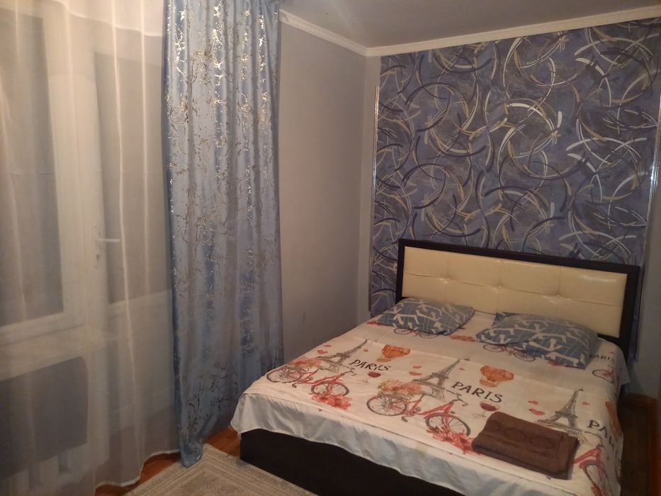 2ком квартира посуточно в центре города