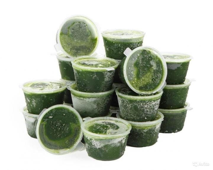 Vitgrass yangi ostrilgan bugdoy suvi