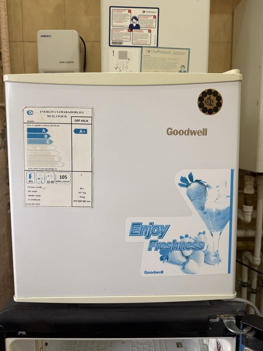 Xoladilnik Goodwell. Toshiba