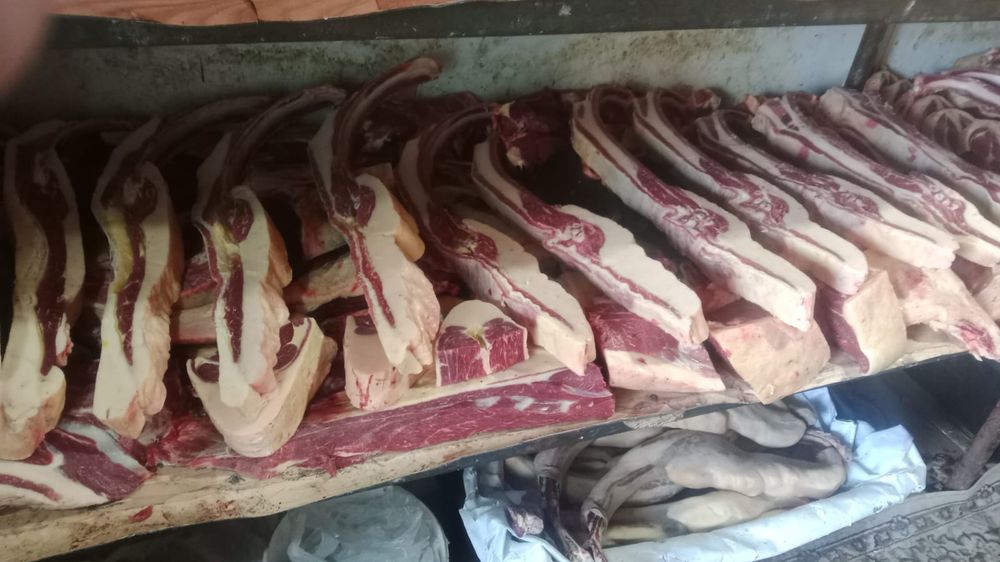 Жылқы еті семіз тай