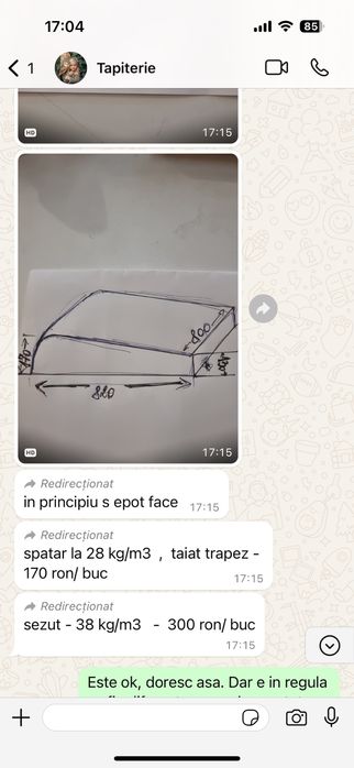 2 perne sezut si 2 spatar canapea (doar craiova)
