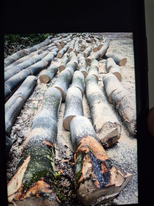 Lemne pentru foc crăpate sau rotunde