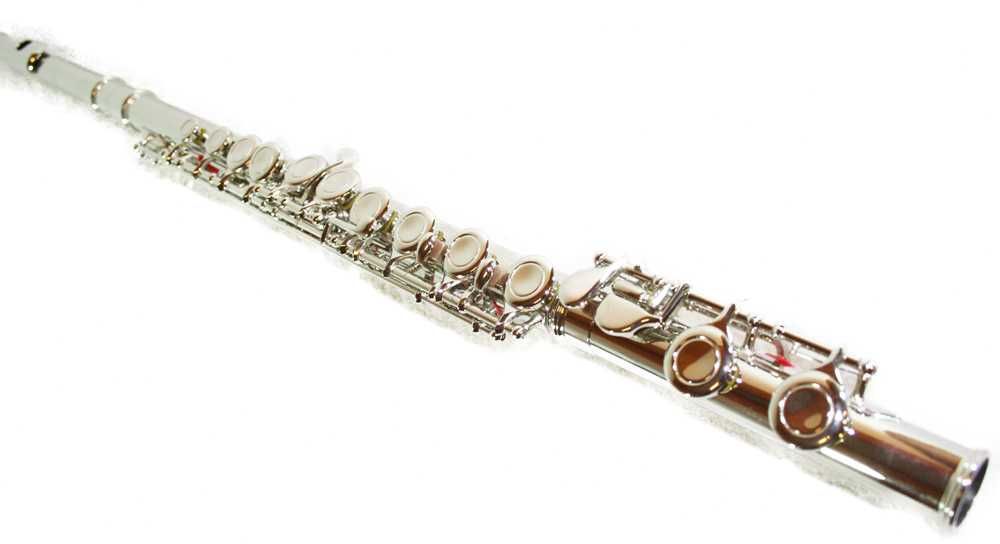 Set Flaut Parrot 6456 Silver Flute C