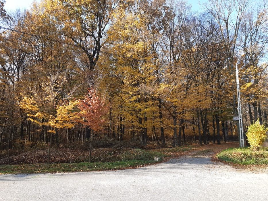 35530 m2  langa Dedeman 15 € / m 2