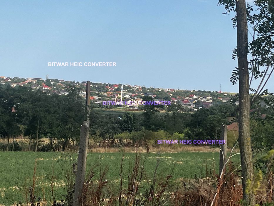Teren intravilan Tuzla, 2500mp, deschidere 45m, oportunitate excelenta