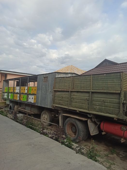 Пчеловодческий прицеп