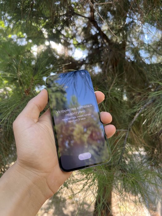 Iphone 13 pro iclpud