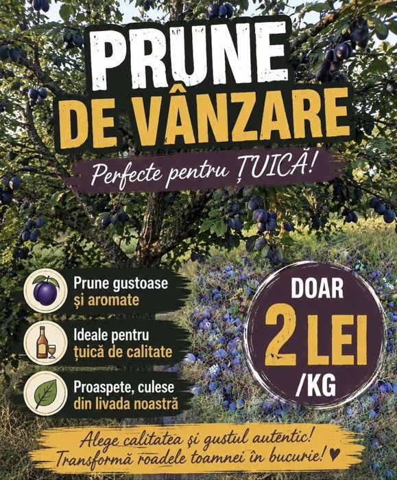 Prune de vanzare