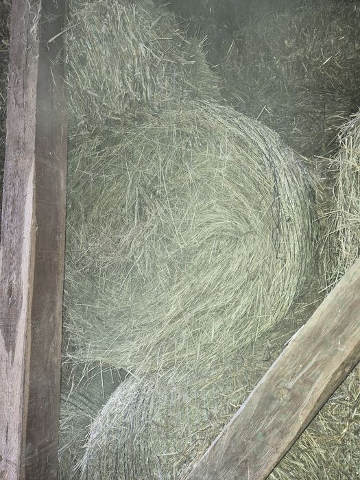 Baloti rotunzi mari de fan 120x120 dimensiune si baloti mici de paie