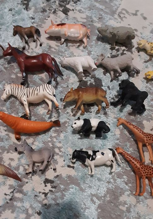 Animale domestice salbatice