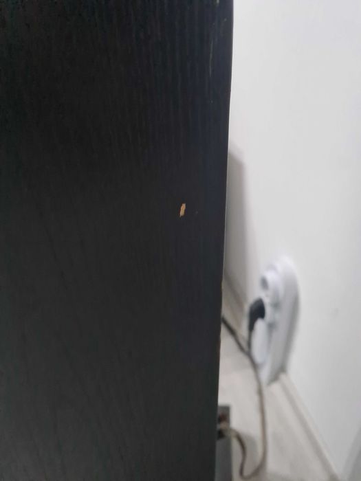 Dynaudio contour 3.3