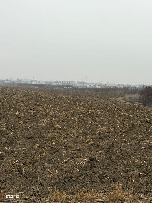 Vand Teren Hemeiusi sat Liliecipe strada prelungirea crinului