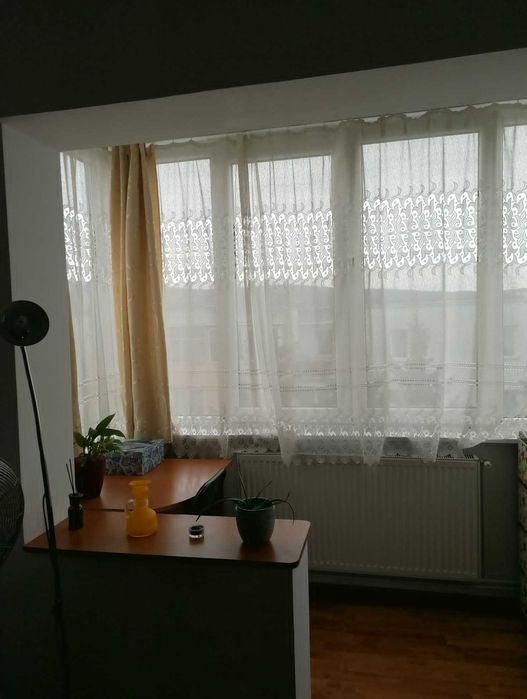 Apartament cu o camera de vanzare Tudor zona Parc Substejeriș