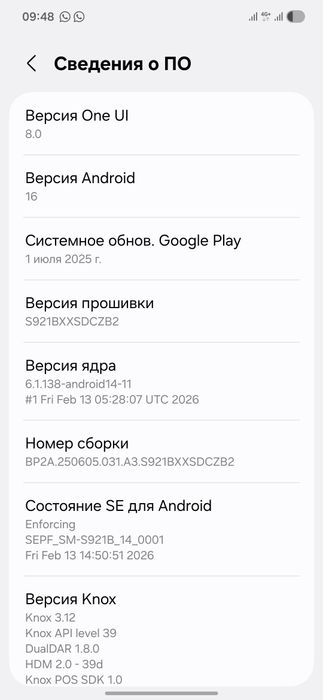 Самсунг S24 2024