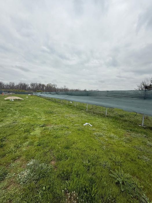 De vânzare teren intravilan – Măgurele, zona Pruni