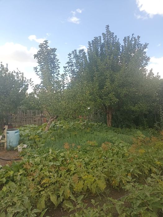 Продается дача Черёмушки