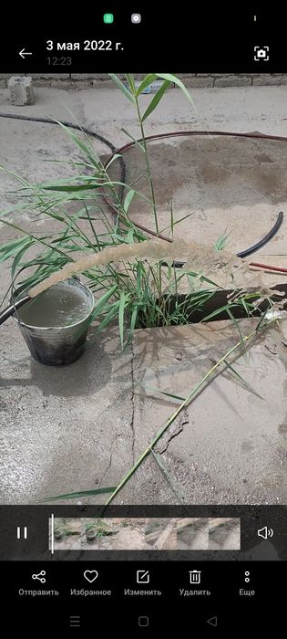 Срочно воду качать