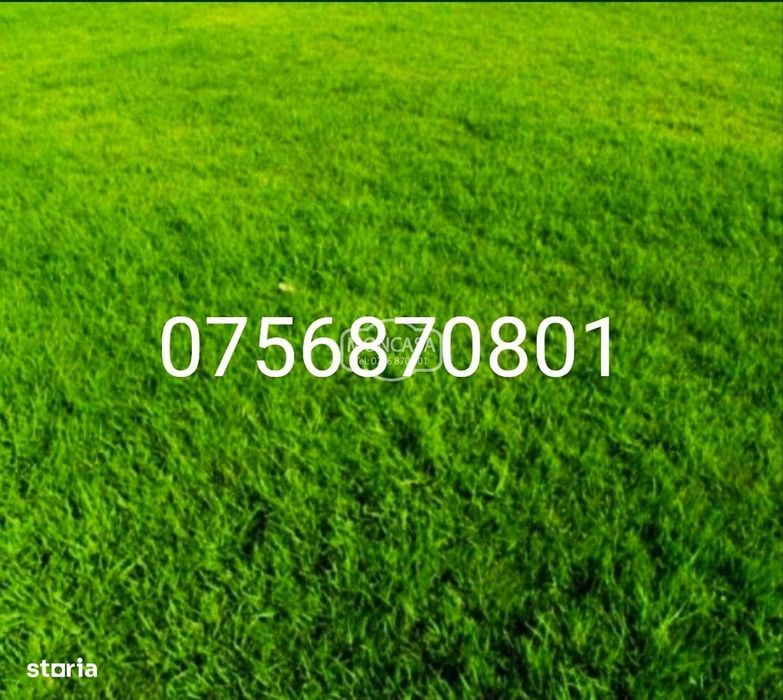 Teren intravilan Lebada-Curtesti, suprafata de 610 mp