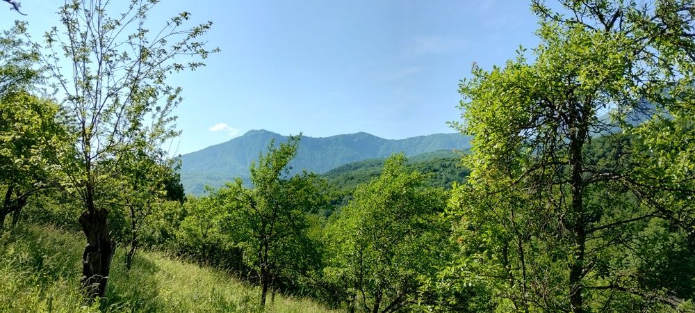 Панорамен Парцел в гр. Априлци в регулация и ПУП за курортен обект