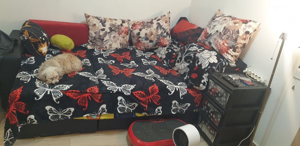 Ocazie! Garsoniera Chiajna, Avangarde City