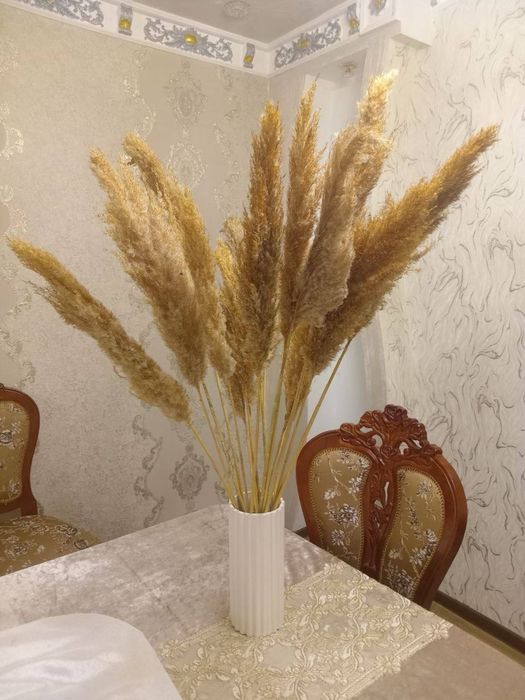 Перья павлина и сухоцвет камыша