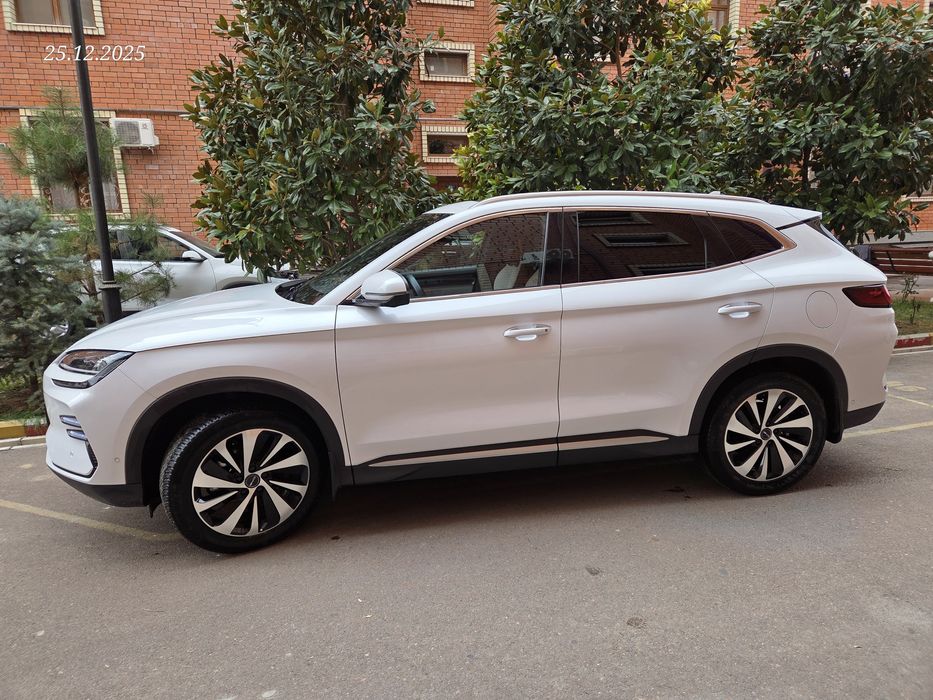 Byd champion 2023 йил