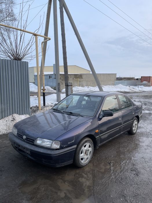 Обмен Nissan Primera P10