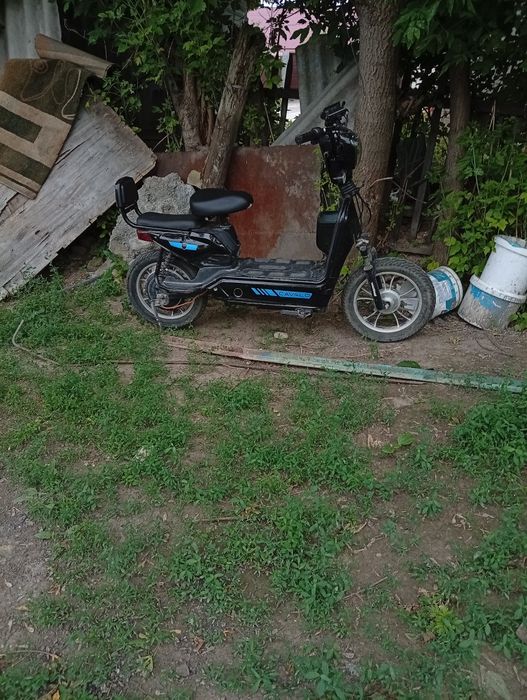 Скутер Cavalo 16дюм