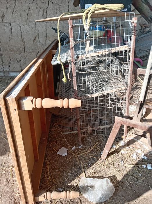 тауык пен боденеге клетка