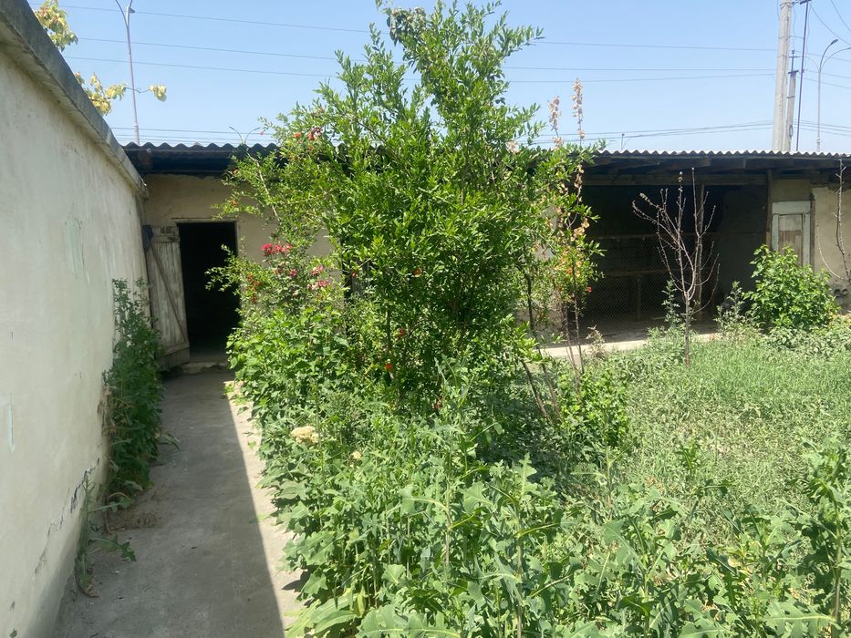 Продаю дом с участком