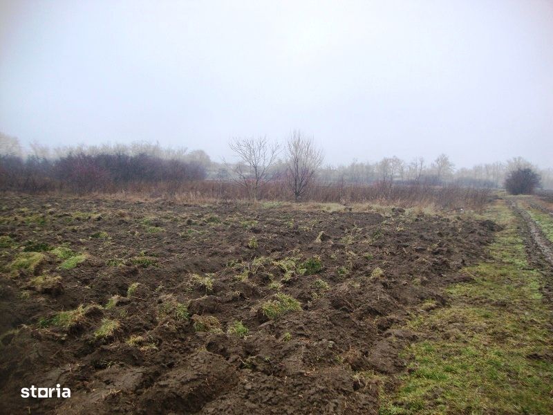 Teren extravilan Cocorastii Colt, Prahova - 3108094