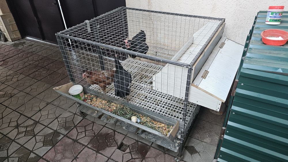 Tovuq qafas gildirakli. Buyurtmaga ham yasab beramiz