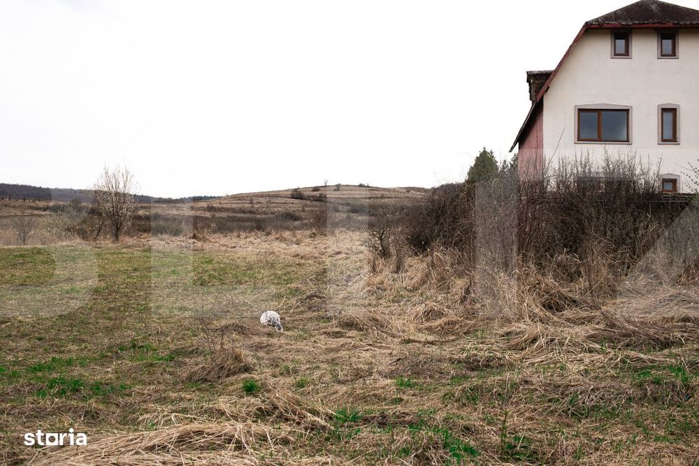 Teren 7088 mp in Borhanci – achizitie integrala sau separata - trei