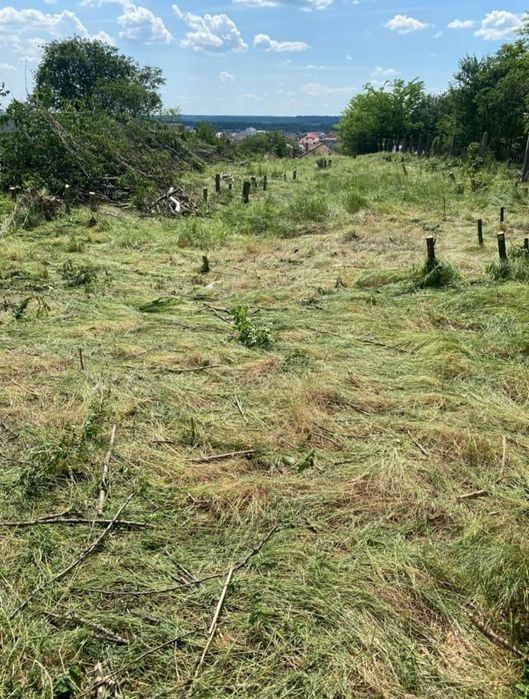 Defrisare /evacuare vegetație necontrolată