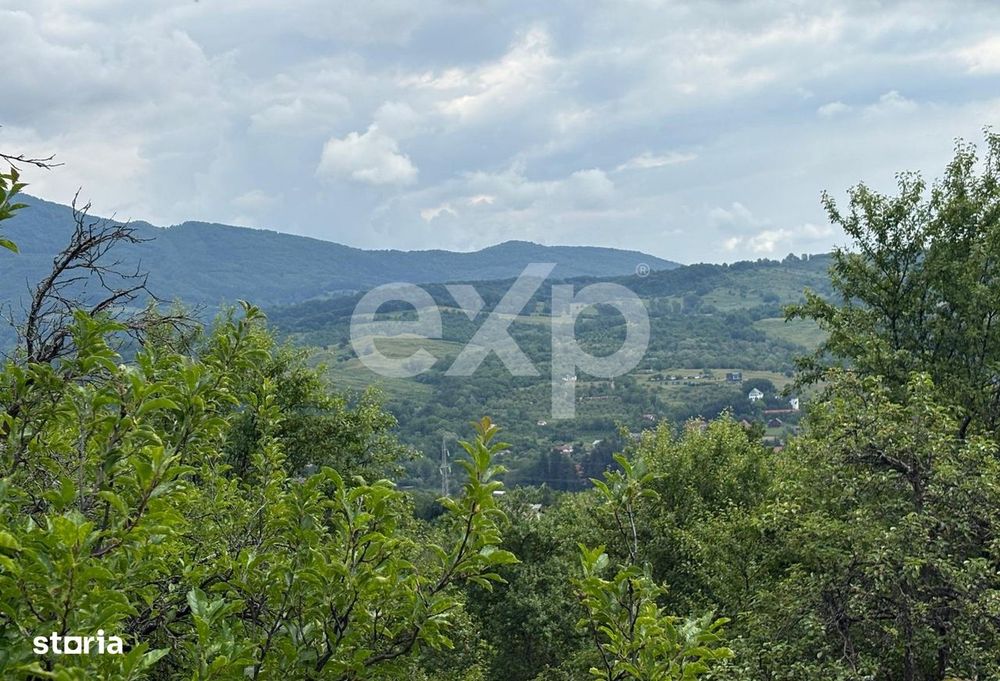 Teren 6348 mp Corbeni / Utilitati / Parau / Vidraru / Transfagarasan